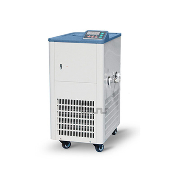 DLSB系列5L小型低温冷却液循环泵